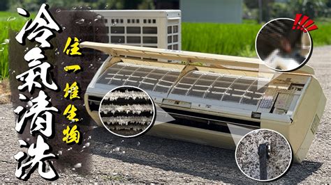 室外機灰塵|自己洗冷氣方法大公開！分離式冷氣清洗DIY／室外機。